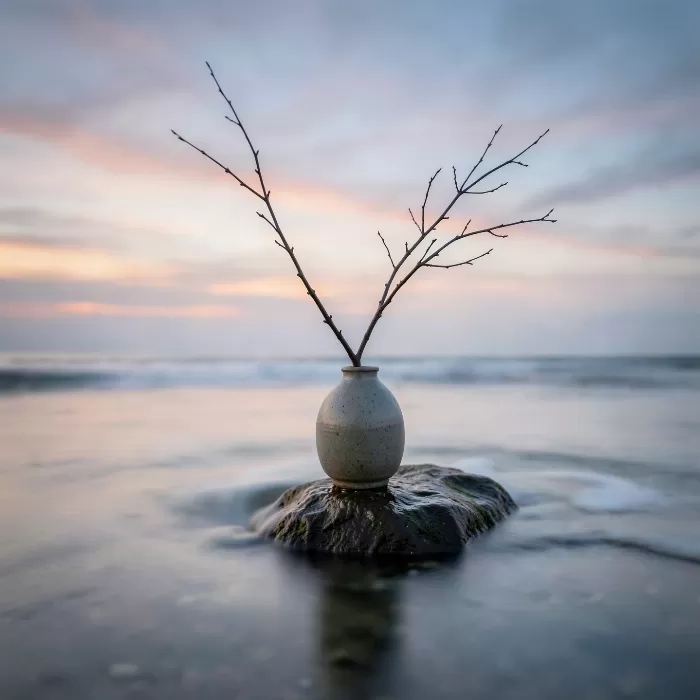 Silken Branch
