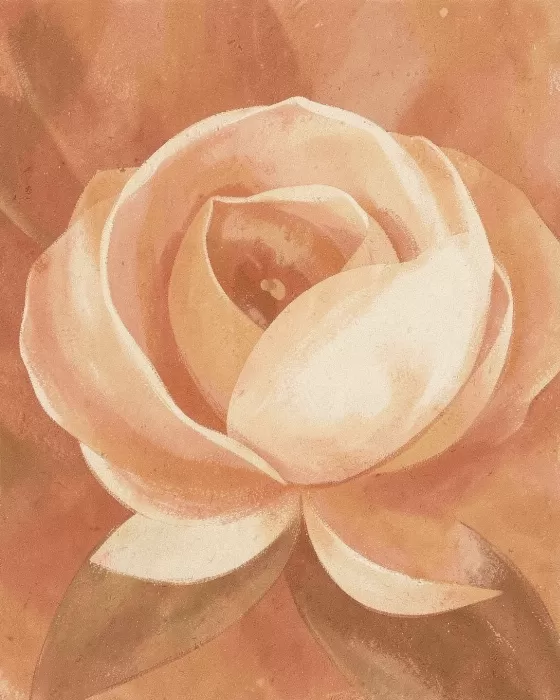 Camellia Warmth