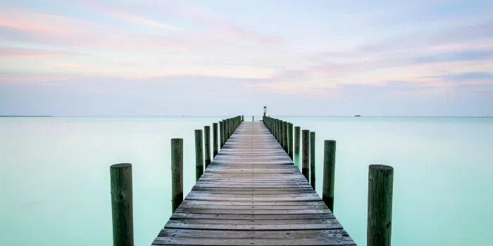 Silk Shallows