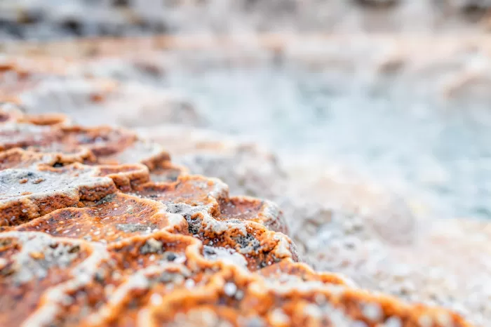 Mineral Crust