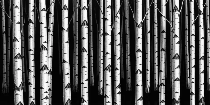 Birch Tapestry
