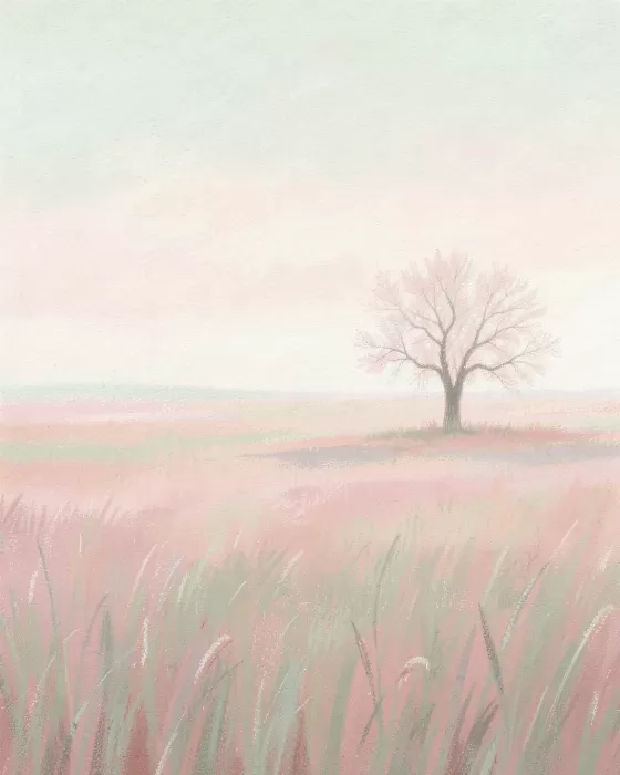 Soft Dawn
