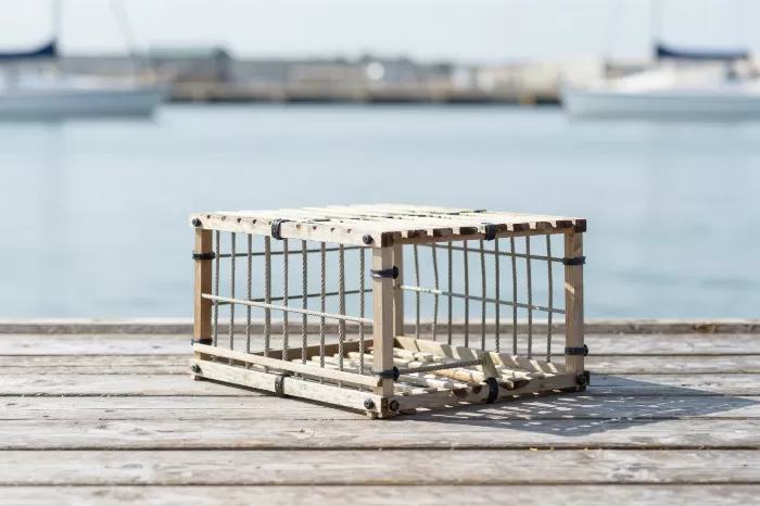 Harbour Trap