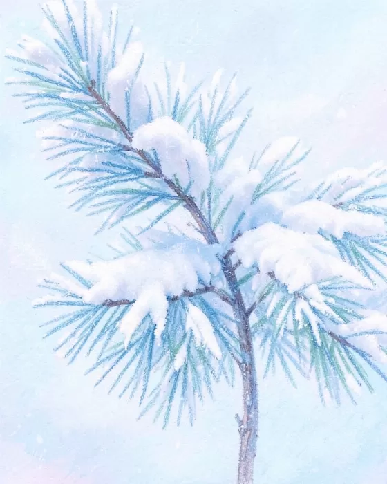 Snow Laden