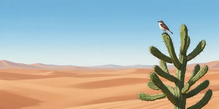 Desert Perch