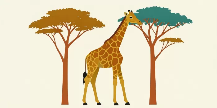Acacia Giraffe