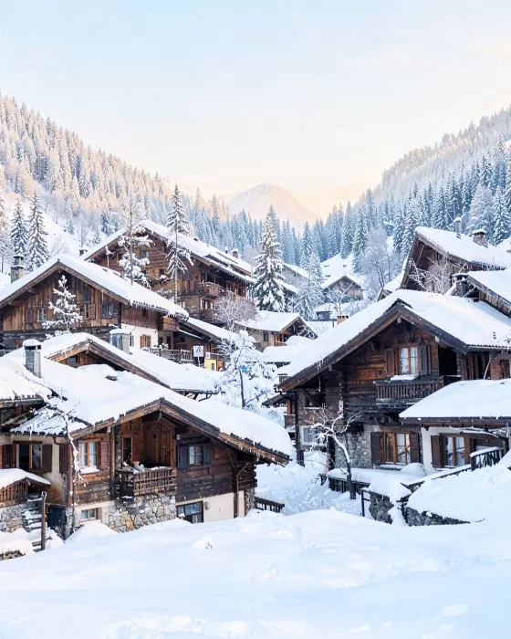 Timber Chalets