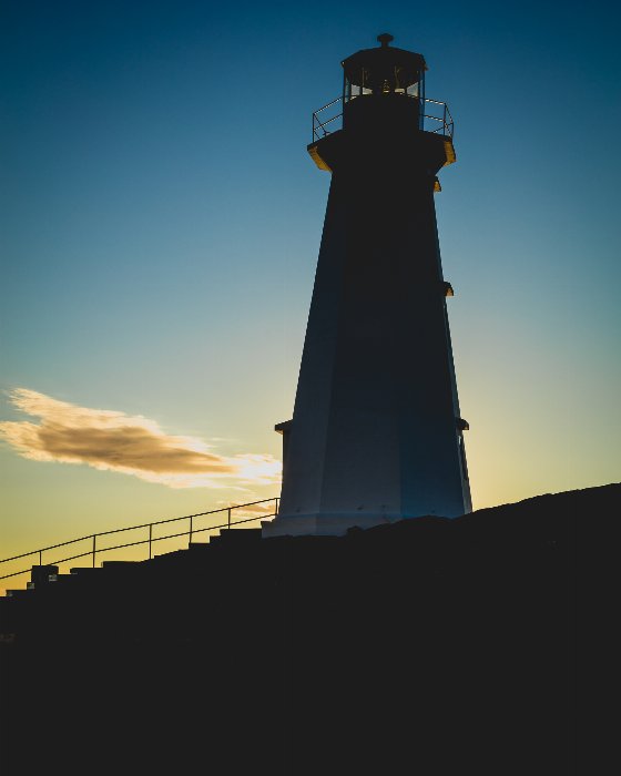 The Watchman - Newfoundland art print