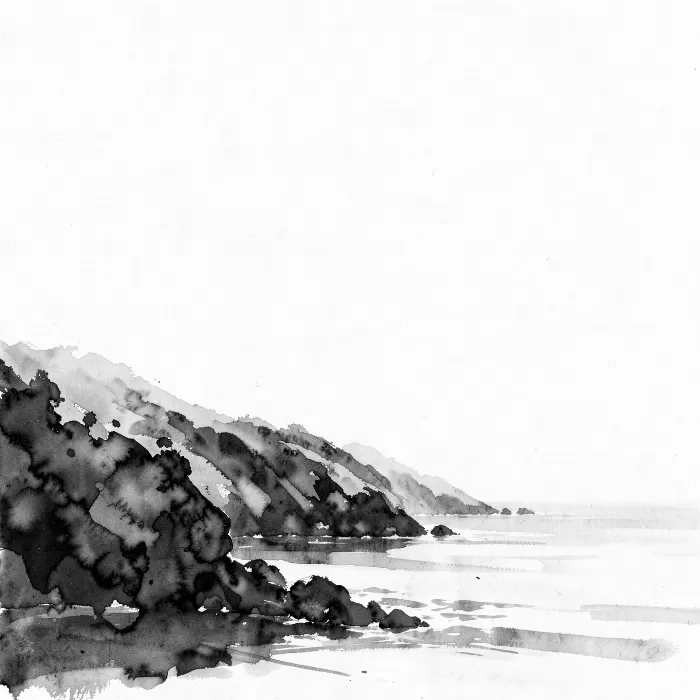 Mist Headland
