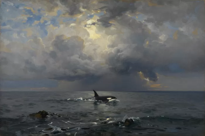 Storm Swell