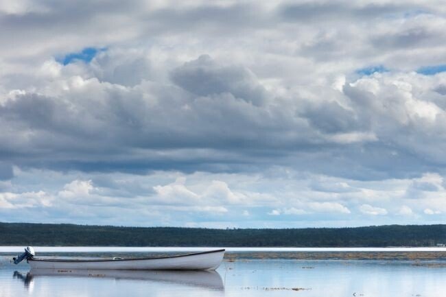 Serenity - Newfoundland art print