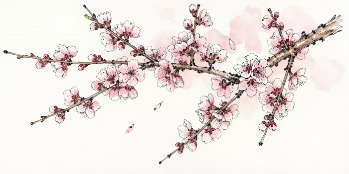 Blossom Reach II