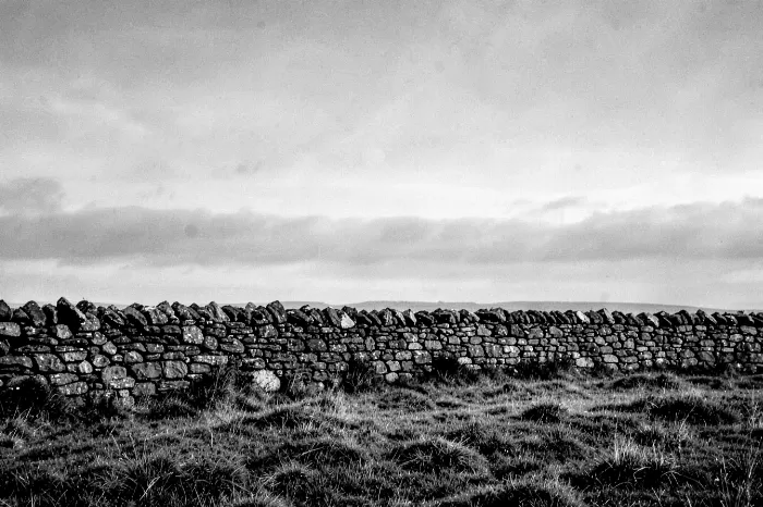 Moorland Wall