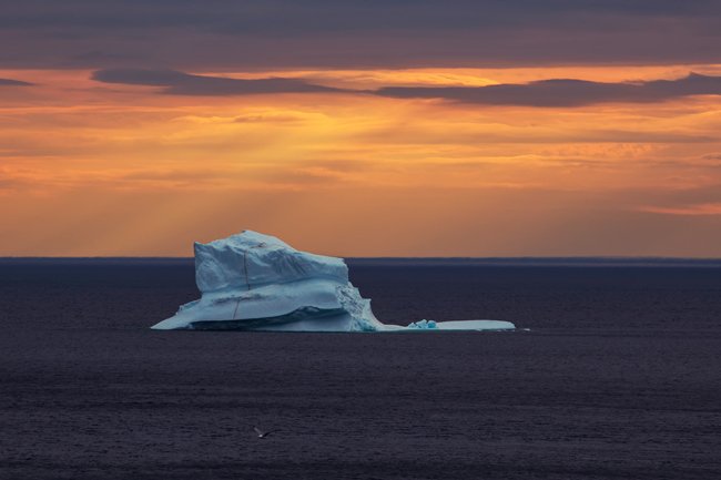 Spirit Of The Island - Newfoundland art print