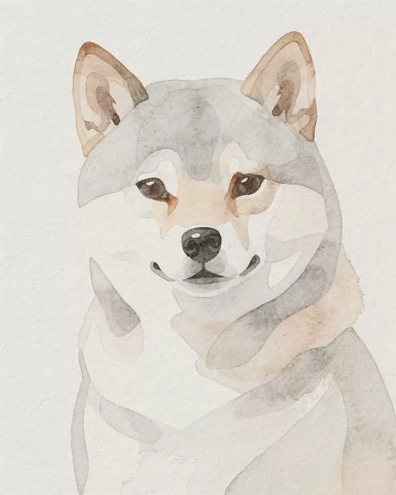 Shiba Silhouette