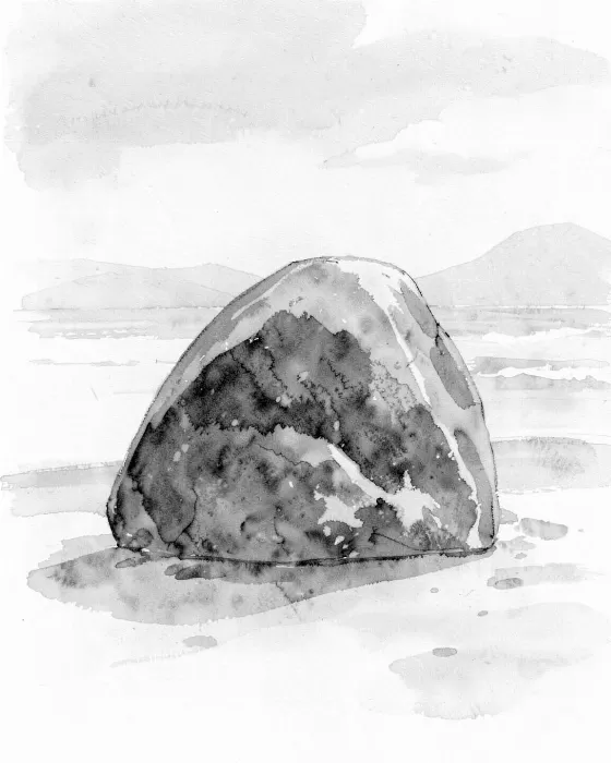 Seychelles Boulder