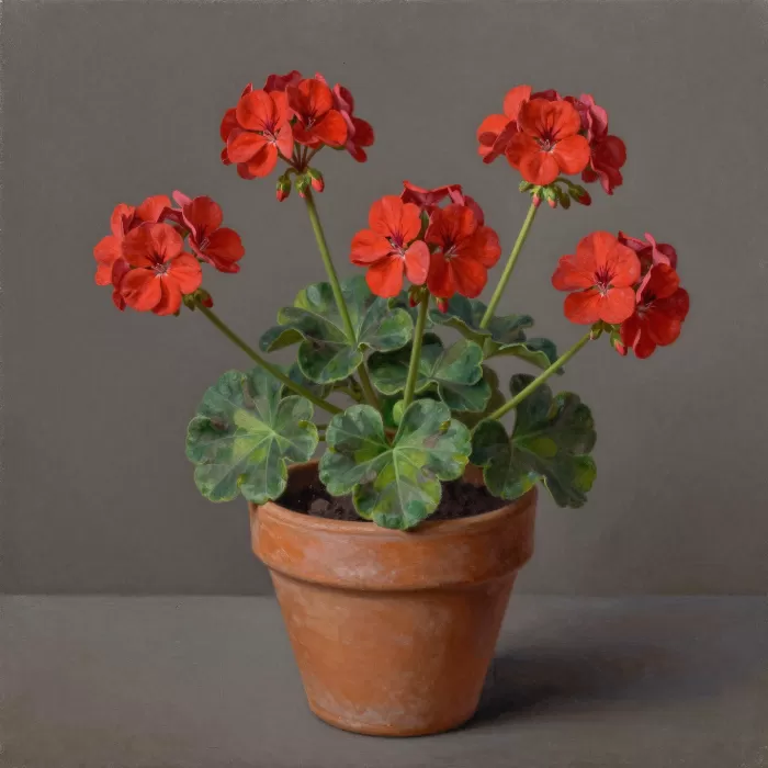 Clay And Bloom