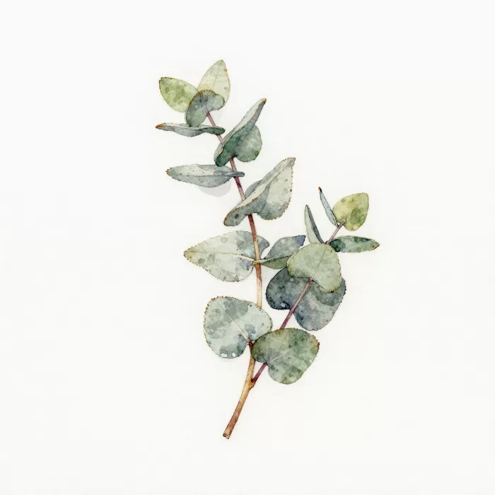 Silver Sprig