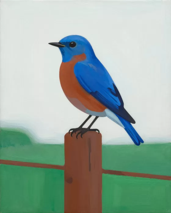 Bluebird
