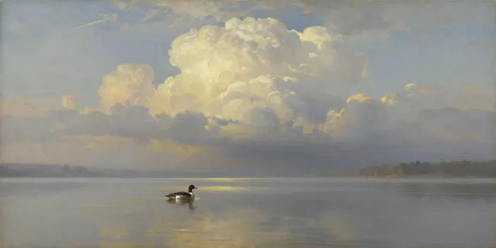Loon's Solitude