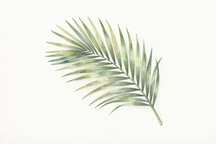 Solitary Frond