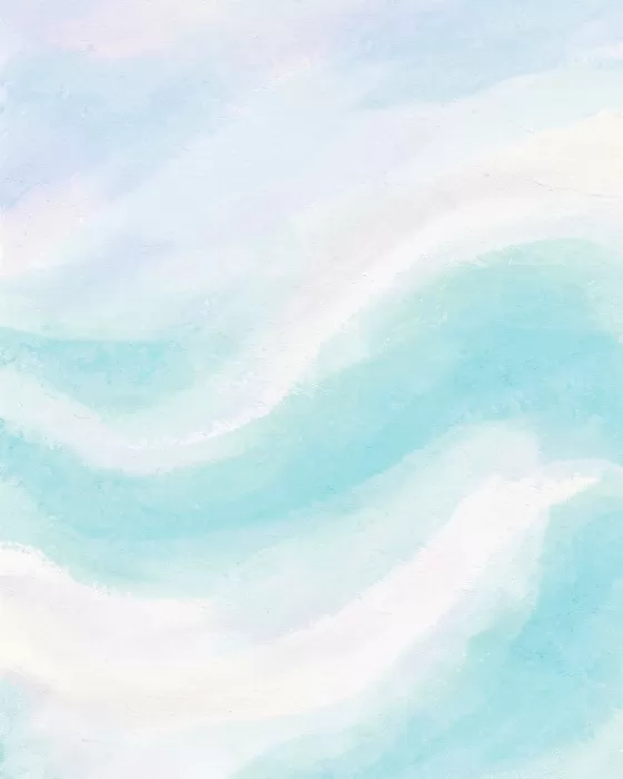 Whitsunday Shallows