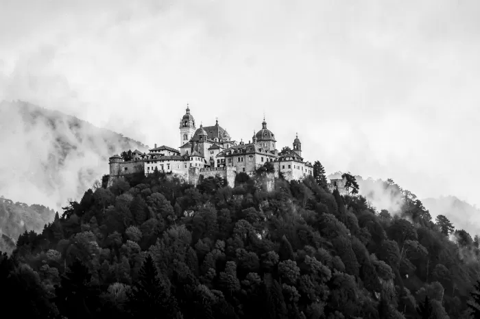 Misted Pena