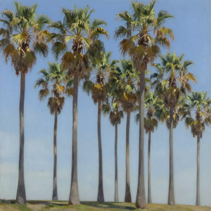 Palms Ascending