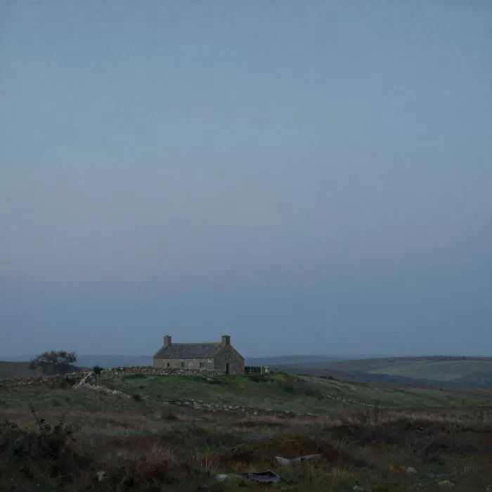 Moonlit Heath