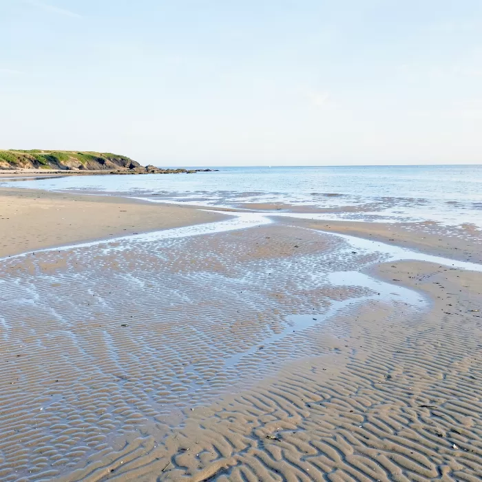 Sweeping Shore