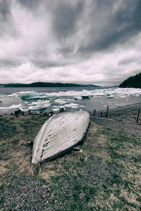Laid To Rest - Newfoundland art print