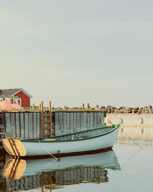 Perfect Calm - Newfoundland art print