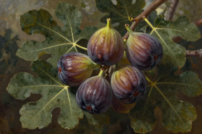 Ripe Figs
