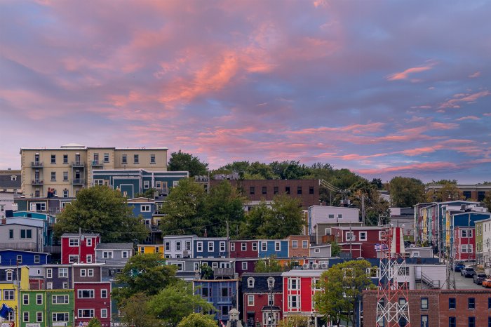 City Charm - Newfoundland art print