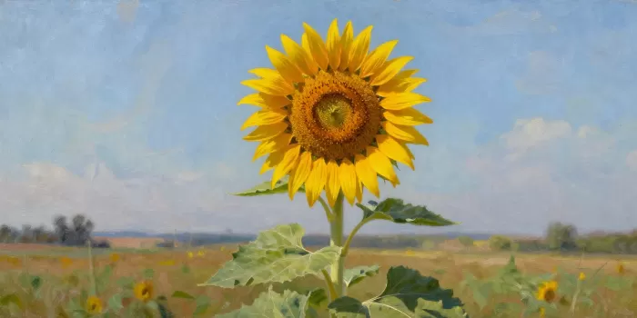 Sunlit Sentinel II