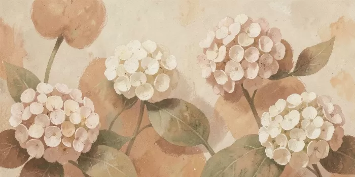 Hydrangea Terracotta