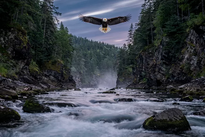 Eagle Gorge