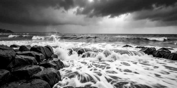 Carmel Surf
