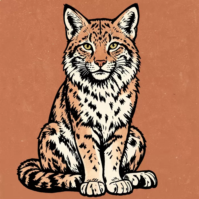 Lynx Rest