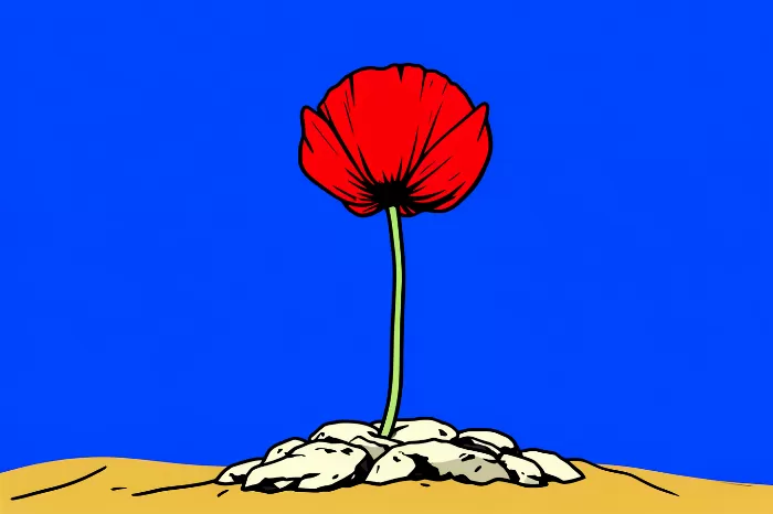 Poppy Stone