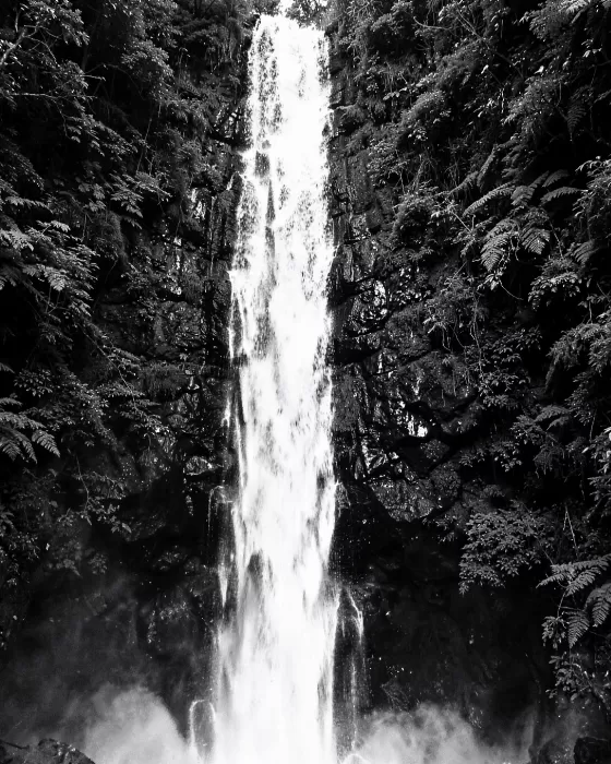 Falling Veil