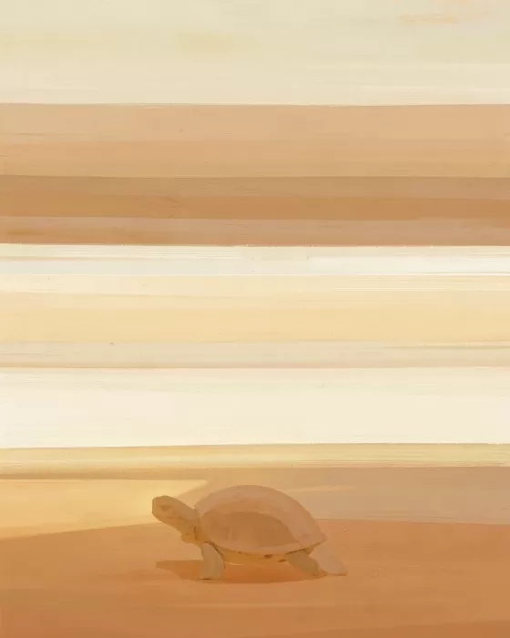 Turtle Dusk