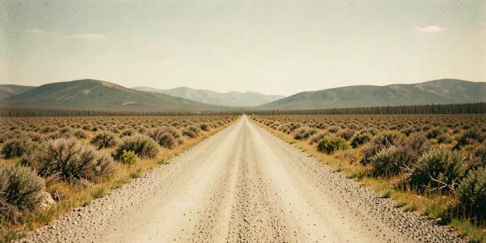 Taiga Road