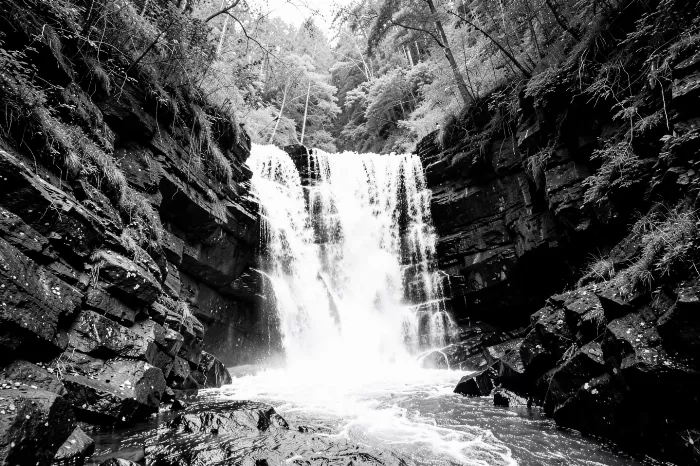Falls Gorge