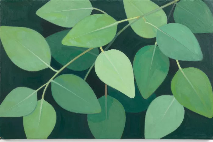 Emerald Canopy