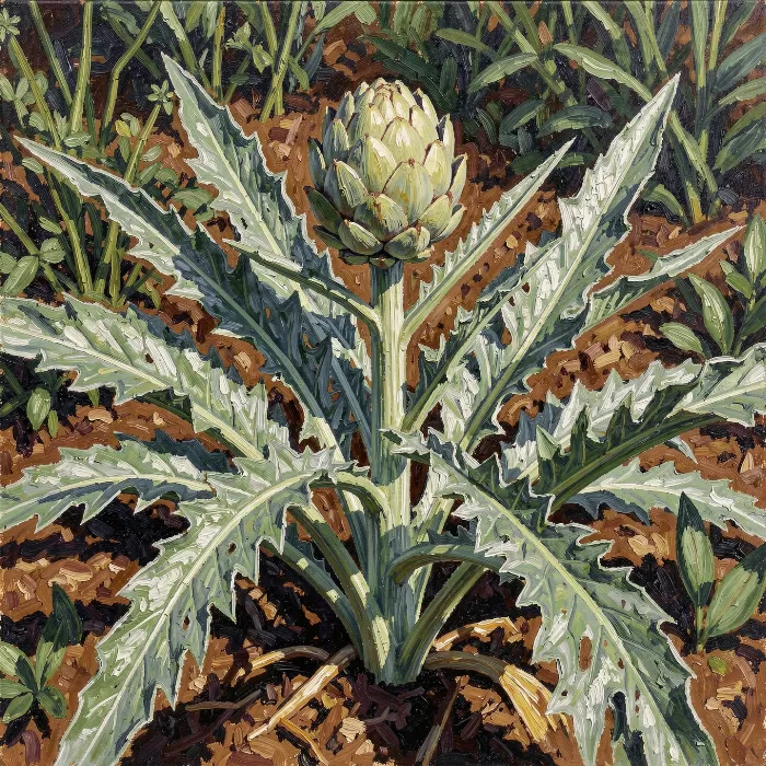 Artichoke Study