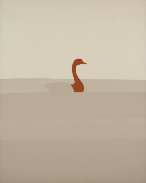 Goose Wash