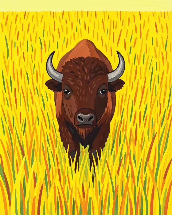 Bison Marches