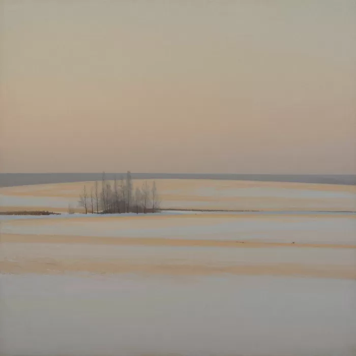Winter Fields