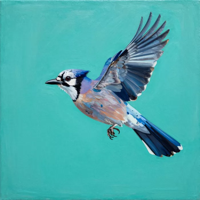 Jay In Flight